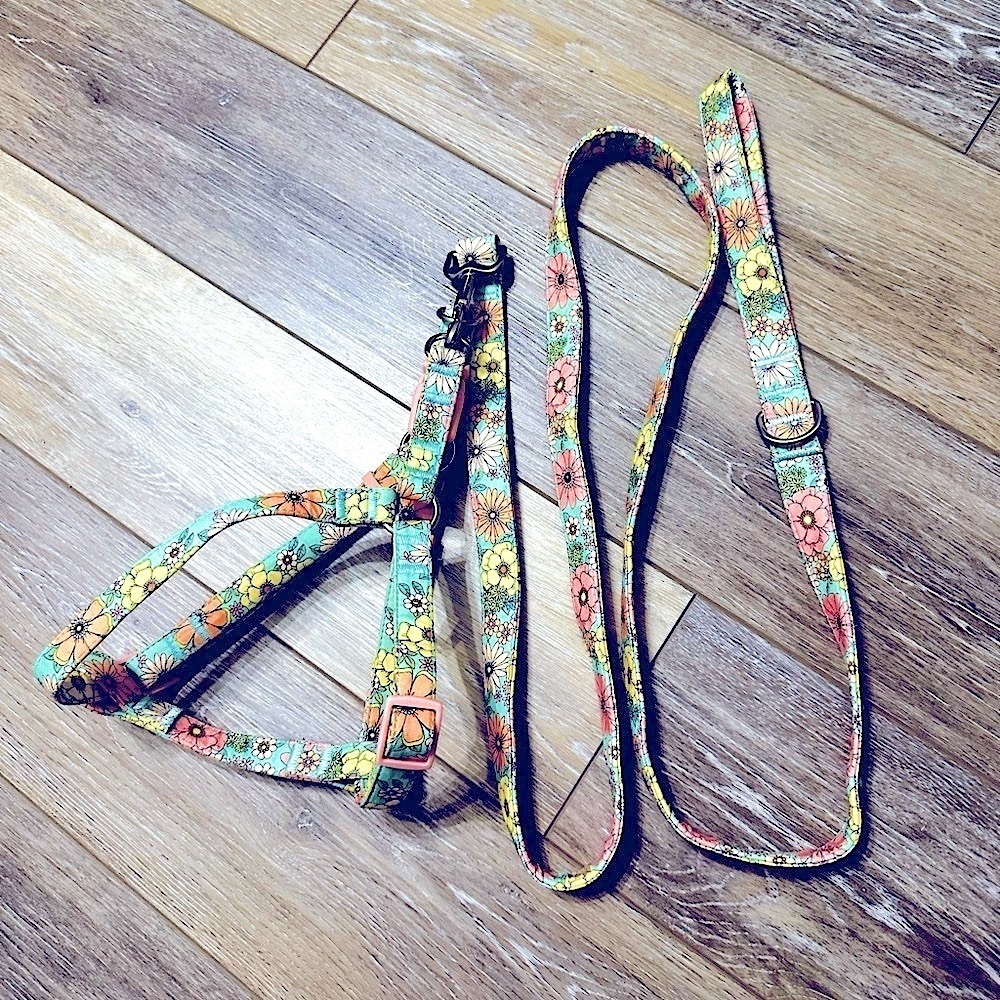 🐶 Small to medium dog pretty flowers printed leashes and harness new condition.